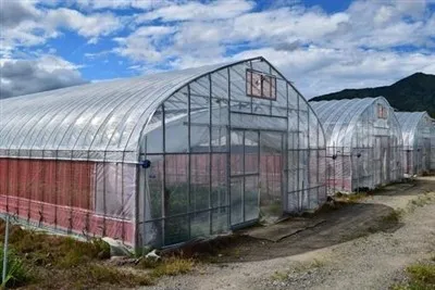 Invernadero de película de polietileno